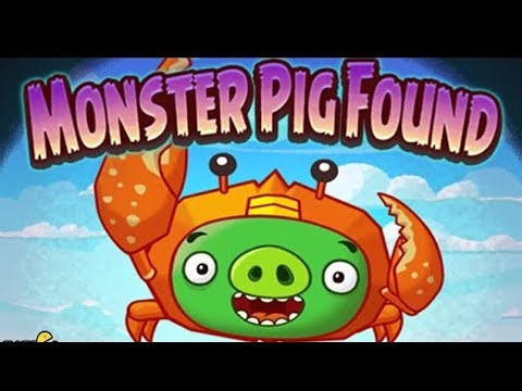 Monster pig challange, Angre Bird game play