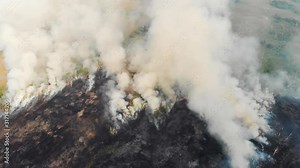 Smoke from a fire in the forest, aerial view. Siberian forest burning, wild fire on field. Environmental problems, forest wildfires. Natural disaster fire in forest.
