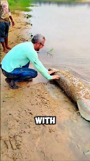 Heroic Moment! Fishermen Push Stranded Fish Back to the Water 🐟💦 #shorts
