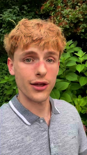 Propagating what ! Americas favorite suburban flower… the hydrangea! See how to easy propagate hydrangeas from cuttings off the main bush. Endless summer flowers await after cultivating using this #springcleanup #sowingseeds #gardening #growingfood #pruning #startingseeds #fallgarden #growingvegtables | Samuel Sanchez