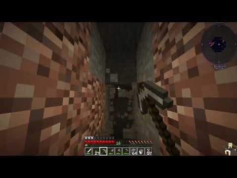 The True Oasis Experience - Minecraft #3