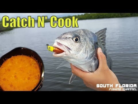 Watch Indian River Inshore Fishing Catch n Cook Video on Tackle.net