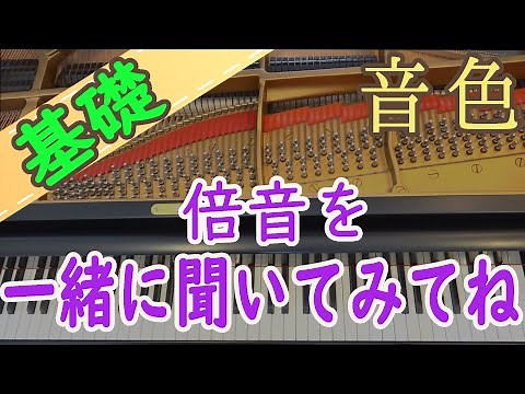 【音色・音質の変化はこれだった！】雑学ピアノ 倍音 初心者向け 独学 かんたんピアノ講座 レッスン だれでも弾ける
