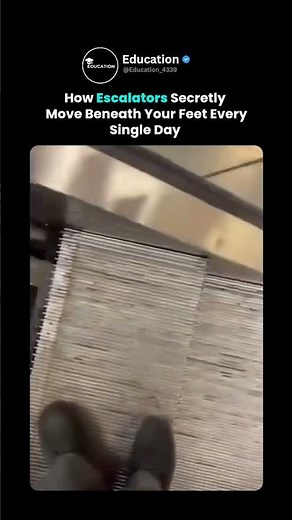 The Secret Mechanism Behind Escalators Revealed 👀