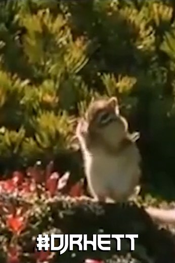 Cajun Animals with DJ Rhett #DJRhett #YallCatchin #reelcajundubs | DJ Rhett