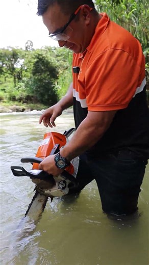 Motosierra Stihl MS 462 - Buenas herramientas y maquinaria facilitan el trabajo