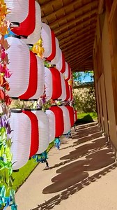 Our Senbazuru (千羽鶴) installation, featuring one thousand folded origami cranes - was a temporary display representing peace, healing, and hope. Though it is no longer on view, we’re grateful to everyone who paused to reflect on its meaning. In Japanese tradition, a thousand cranes symbolize the power of intention and the beauty of collective wishes. We look forward to bringing more moments of reflection and culture to the garden. | Japanese Friendship Garden of Phoenix