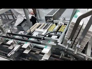 Make Your Vial Packaging Process Easier With A Cartoning Machine