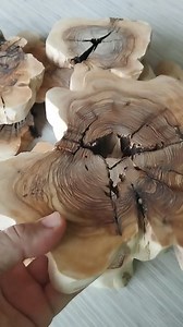 Olive Wood Slabs, Natural Olive Wood, Olive Wood Pieces, Olive Wood for DIY, Olive Wood for Epoxy, Olive Wood for Resin, Tree Slices for Art - Etsy