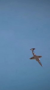 Starfighter flat spin and survival of Chuck Yeager #pilotscafe #aviation #Pilot | Pilots Cafe