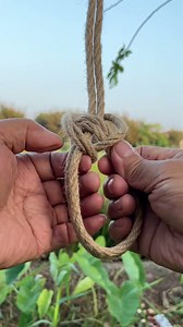 7.5K views · 70 reactions | A strong and secure double knot! #knot #rope #ropetutorial #diy #knottying #knottutorial #fyp #reelsviral #foryoupage #tent #usa #reels | Knot Tricks | Facebook