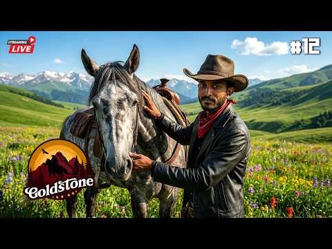 Violation එකෙන් පසු නැවතත් | RDR 2 RedM | Goldstone County Roleplay Sinhala | DAY 12 PART 2 🔴LIVE