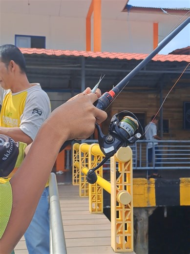 Fishing for Tamban Fish at Anambas Harbor