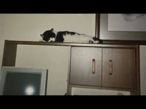 Live Play On Slot Machines