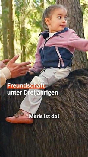 Thea und Esel Meris sind unzertrennlich 😍🫏
