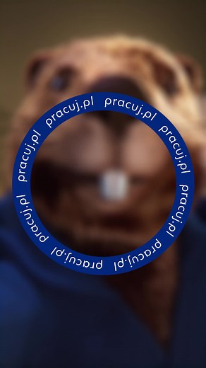 Jak znaleźć pracę w Polsce? Skorzystaj z Pracuj.pl!