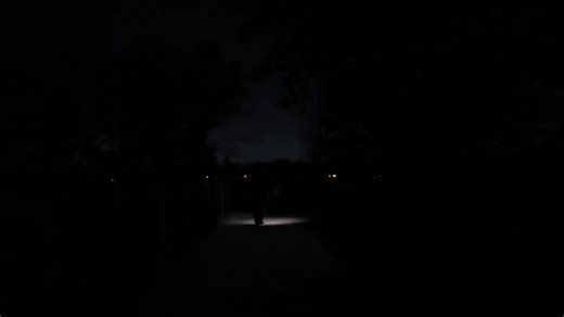 Magical night at Galien River County Park. With the Lovely Lady Luna in her full moon glory illuminating the way. Video shows how dark dark it was but the photos tell different story. Crisp Autumn night. You can faintly see the auroras in the distance. Sight and sounds what a spectacle nature brings. Take some time out and enjoy the view. You will feel better when you do. | Bird Crazy Camper