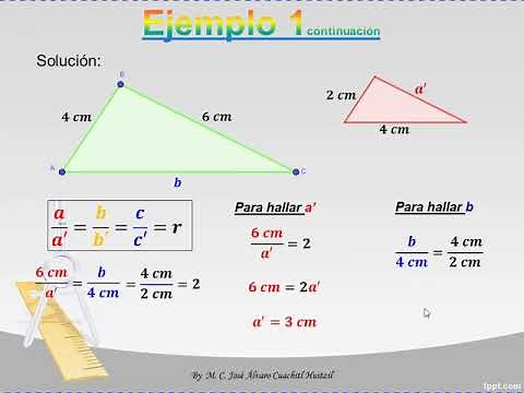 Teorema de Tales, definición, triángulos semejantes, razones y aplicaciones