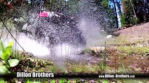 3K views · 38 reactions | Did you know that the Sid Dillon auto group...