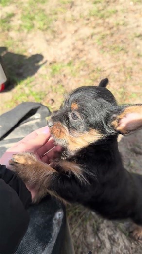 so sweet that it makes your eyes wet 🥹