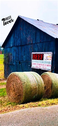 Who remembers .Beef its whats for Dinner slogan 1992 by the NCBA to promote beef .My favorite choice of meat is beef. #beef #meat #cattle #farmers | Patty Hudson