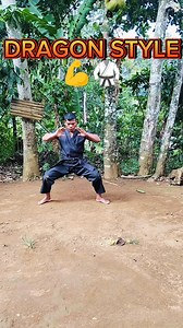 Demonstration dragon techniques🥋 #dragonstyle #dragonfighting #dragontechniques | Jemar Dblogs