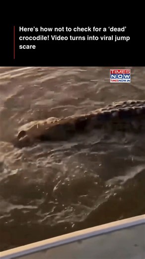 5M views · 12K reactions | A video of a group of people checking on a ‘dead’ crocodile ended up turning into a nightmare- after the reptile turned out to be alive! Here’s what happened next… | TIMES NOW | Facebook