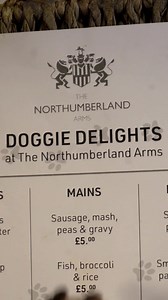 2.2K views · 59 reactions | Our Doggie Menu is going down a treat! Tried, tested and approved by @miniwinniethewiener_   @3.c.productions #northumberlandarms #northumberland #northumberlandrestaurant #northumberlanddogs #dogsofig #doggiemenu #doggymenu | The Northumberland Arms | Facebook
