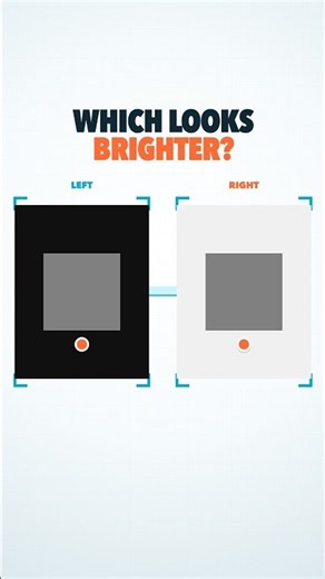 Which Gray Looks Brighter?