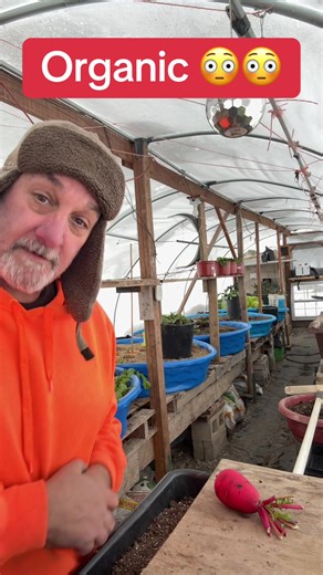 Organic Gardening Tips for Vegetable Gardens