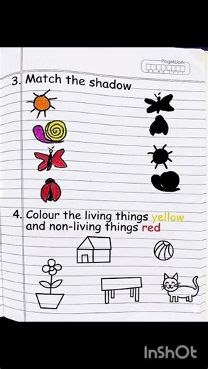 LKG UKG EVS Model Questions Paper for Annual Exam #nurseryclass