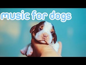 Dog Music! Gentle ASMR Songs for Sleep!