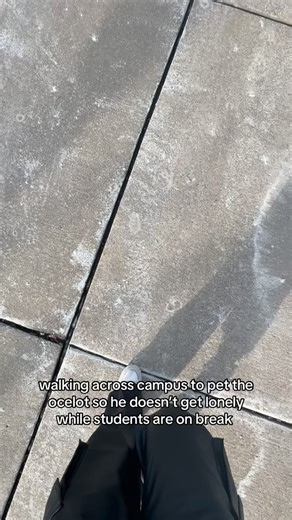 Yes, we do already miss having our students on campus 😢 | Schoolcraft College