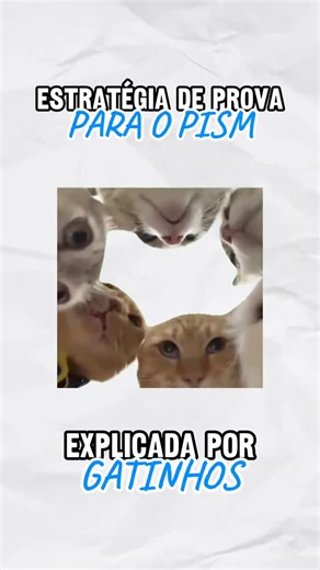 Mathews Krambeck - Mago do PISM on Instagram: "Vai fazer o PISM? Então se ligue nessa estratégia de provas que o Magatinho trouxe para vocês ✨"