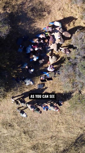 170K views · 2.1K reactions | Few people ever get to see what conservation really looks like. During our recent #ObservingConservation exercise, guests joined rangers and vets as they tracked and tagged a rhino, collected DNA samples, and safeguarded the area. These moments — calm, focused, and deeply human — are what conservation is built on. Read more in our free online magazine: https://bit.ly/dgrmagsu | Dinokeng Game Reserve | Facebook