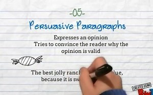 How to Write Body Paragraphs for an Essay
