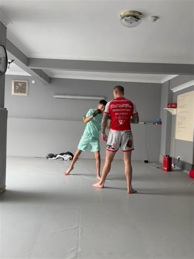 Mastering MMA Techniques: 10 Months of Training Insights
