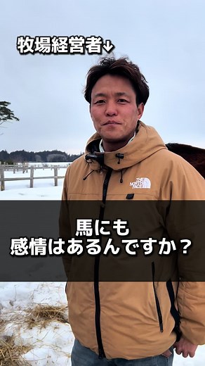 牧場経営者に聞いてみた！ 「馬にも感情はあるんですか？🐴💕」 乗馬を体験するなら、三沢ホースパーク！ 普通の乗馬だけでなく、森の中までトラッキングができます🌳 ご予約はDMから受け付けております💌✨ #乗馬 #馬 #社長シリーズ #牧場 #三沢ホースパーク #青森 #青森観光 #東北観光