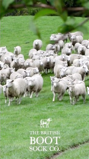 Field to Feet | How Wool Socks Are Made