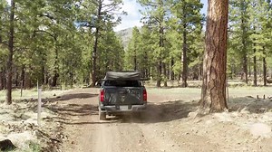 436 reactions · 33 shares | Featuring an all-new non-stick armored ceramic cooking surface and EZ Lift-Off Technology to Convert to a Tabletop Grill the 2-Burner Ultimate griddle is built to be user-friendly and on the go. ⁠ ⁠ ⁠Other Features include:⁠ ⁠  421 sq. inches of cooking area⁠  Easy Press and Turn Ignition⁠  Two Stainless-Steel Burners⁠  Stainless Steel Paper Towel Dispenser, Trash Bag ⁠Holder & Bottle Opener | Pit Boss Grills | Facebook