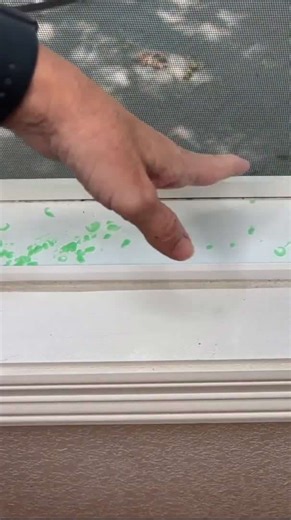 Shred Irish Spring soap with a cheese grater 😱