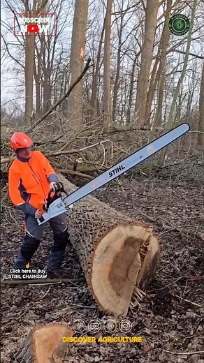 Biggest & Most Powerful Chainsaw in the World 😳
