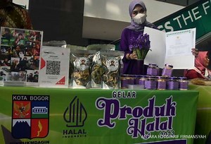 Buka Ptsp.halal.go.id, Ini Cara Buat Akun Sihalal dan Daftar Program Sehati 2023