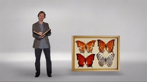 EdE 90-VOST- extrait 3