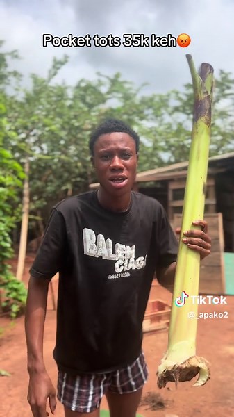 35k keh un funny 😡😂 #pocket #toto #goviral #pockettoto | toto food