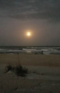 14K views · 6.5K reactions | Full Moon Rising LIVE over the Atlantic tomorrow (Friday) 8:30 PM | First Light InSite | Facebook