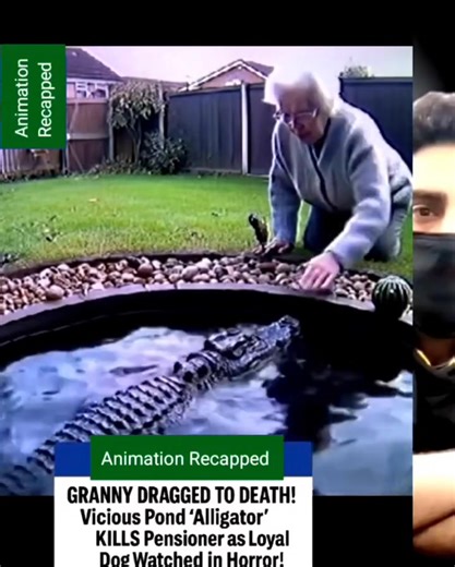 Animation Recapped on Reels