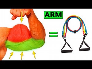 Resistance Band Arm Workout 💪 5 Best Exercises For Biceps and Triceps