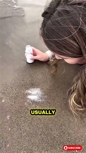 Beach Secret Revealed #shorts #RazorShells #CuriousGirl #FunnyMoment #ViralShort #OceanLife