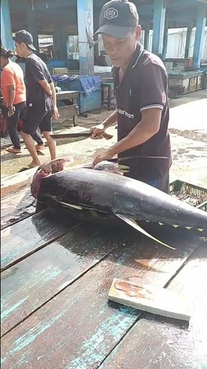 Uncle Bahar's skilled hands cut yellowfin tuna